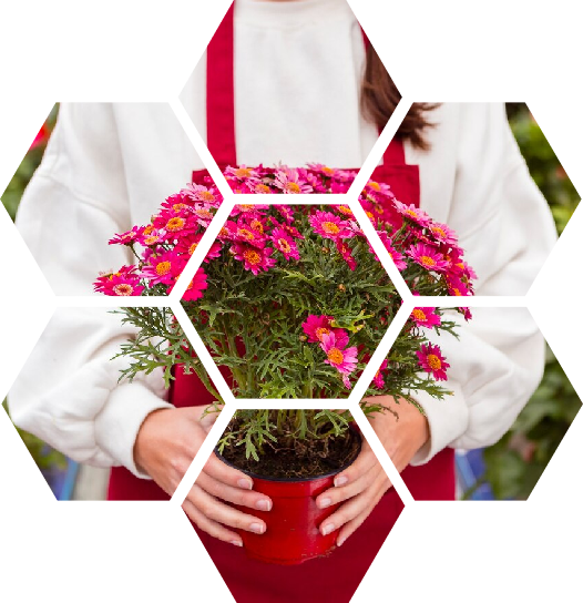 Woman dressed in gardening clothes holding flower pot<br />
